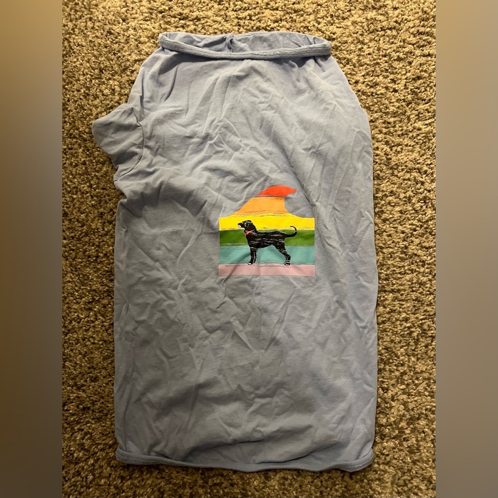 Today Only Final Sale!  The Black Dog Light Blue Classic Tee for Dogs—like new!